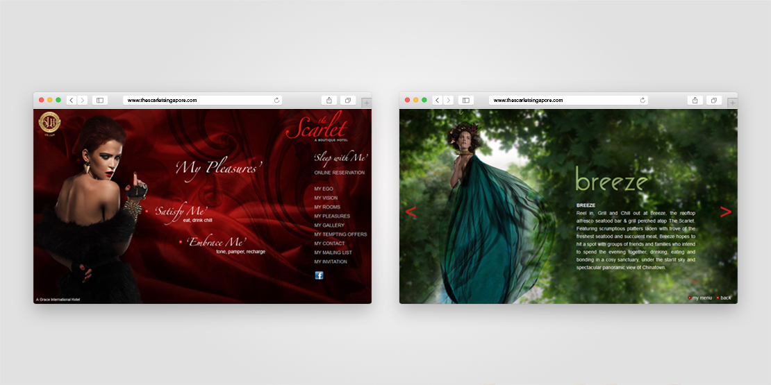 The Scarlet Singapore - Azlan Kassim Portfolio